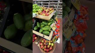 What is Organic Food ? (Tamil Vlogs)