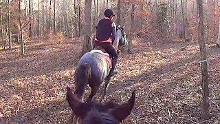 Sony HDR AS15 Action Camera Galloping Time Lapse