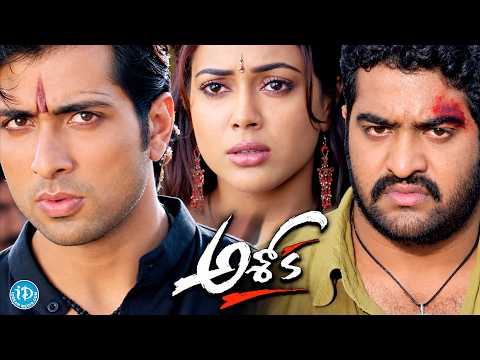 Jr. N.T.R, Sonu Sood And Sameera Reddy Best Scene | Ashok Movie Scene | iDream HD Movies