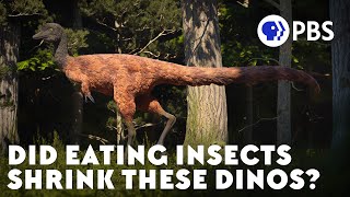 Did Eating Insects Shrink These Dinos?