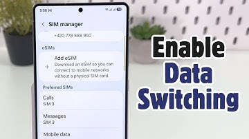 Samsung Galaxy S25 Ultra Guide - Enable or Disable Data Switching Feature