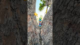 Mini jumping test  poha bass try