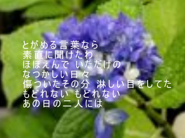 하늘색 비NEW!Yagami Junko