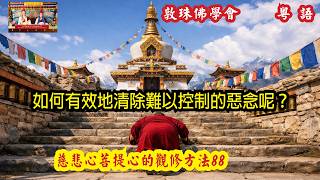 【慈悲心88】(粵語字幕) 如何有效地清除難以控制的惡念呢？ 88慈悲心與菩提心的觀修方法 啤嗎哈尊金剛上師 敦珠佛學會