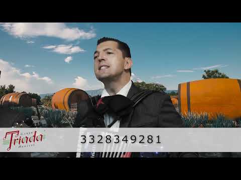 Grupo Triada Musical