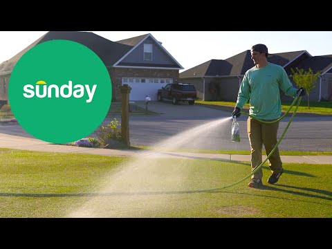 Sunday Lawn Care - Who Knew it could be SO EASY?!