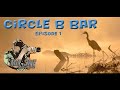 Photographing birds and wildlife at Circle B Bar Reserve