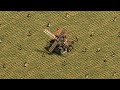 A farming challenge with aoe2 pro players