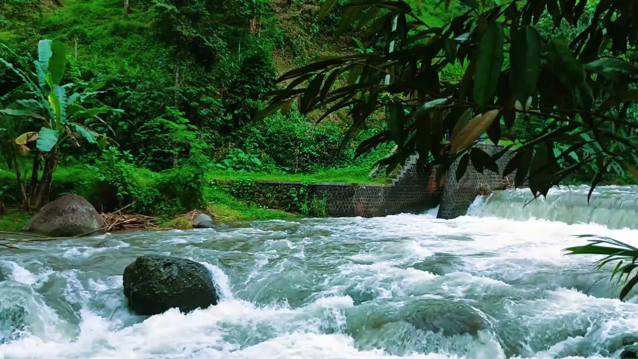 Relaxing Gentle Water Flow to Reduce Stress and Anxiety | River White Noise For Sleep