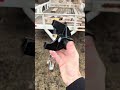 Easy way to increase the security on your trailers #utilitytrailer #offroadtrailer #bluecollar