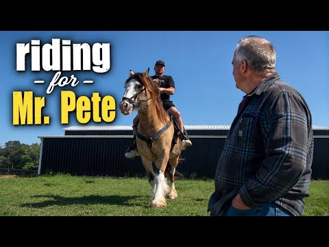 Saying Goodbye to a Friend at JustaFewAcresFarm