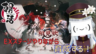 真宵猫の配信のサムネイル画像
