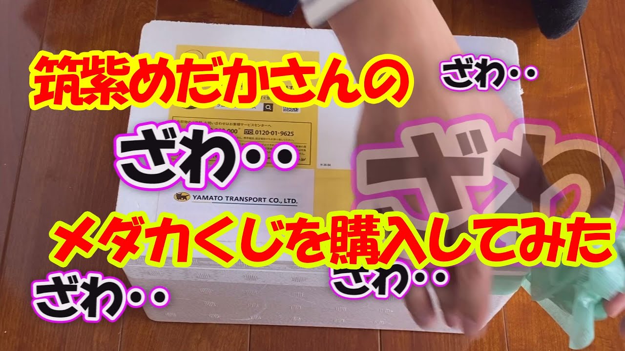 I bought a Medaka lottery from Tsukushi Medaka! [Medaka Review] #8