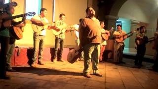 Video thumbnail of "Yo lo comprendo Rondalla de la Universidad de Colima"