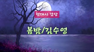 봄밤/김수영