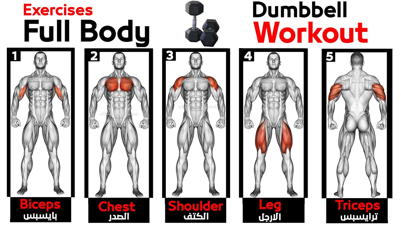 Full Body HOME Dumbbell WORKOUT (squats, chest ,triceps, biceps , back,  shoulder) 