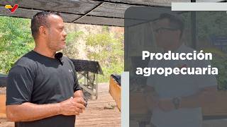 Centro de Formación y Producción “Valle de Beraca” impulsa la economía comunal de Caricuao