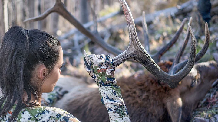 LAND OF HUGE ELK | 2022 New Mexico Application (Al...