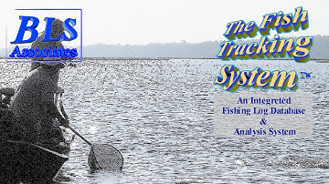 The Fish Tracking System - An Overview