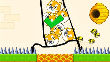 Save The Dog Speedrun Gameplay Level 244