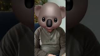 Masked Reader 2025 - The Koala - Day 2