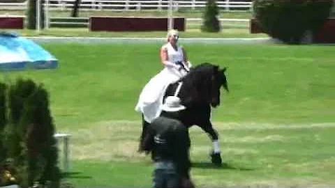 Geduld Stallion Parade with Michelle Willems