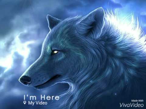 Wolf Fever! - YouTube