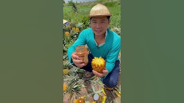 Cách ăn khóm mà không cần dùng dao 😋