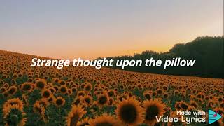 Sunflower (ft. Steve Lacy) - Vampire Weekend | Lyrics/Letra 🌻💛