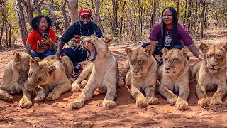 Walking with Lions, cuddling Cheetahs & meeting the Chief at Mukuni Big 5 Safari Livingstone Zambia