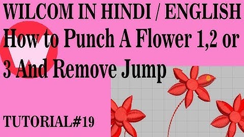 Wilcom In Hindi Tutorial 19 How to Punch More Than 1 2 3 flower and Remove Jump