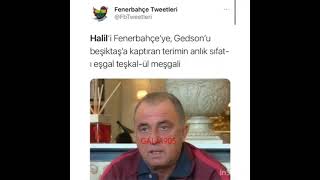 Halil Dervişoğlu Fenerbahçede 