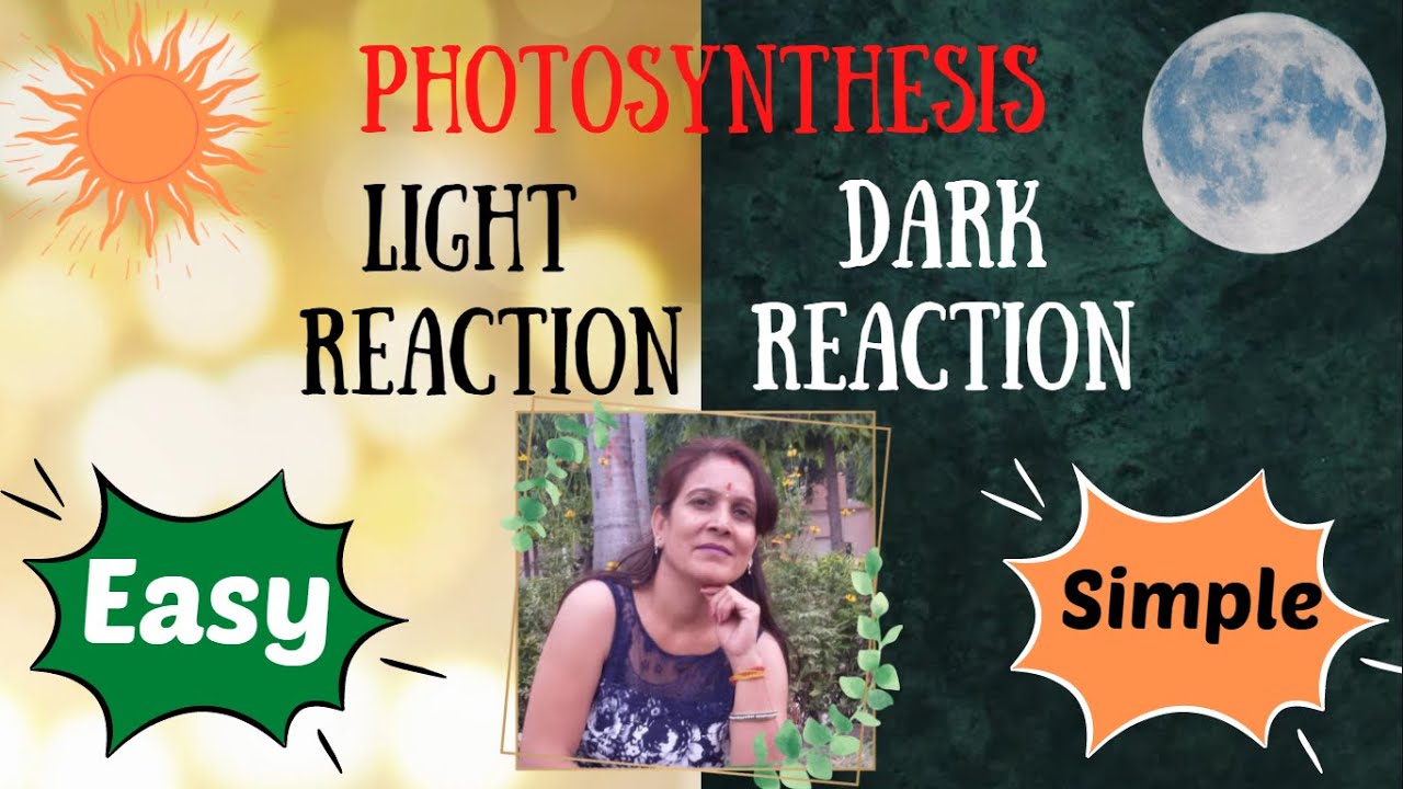 Photosynthesis | Part 2 | Light & Dark reaction | Difference between ...