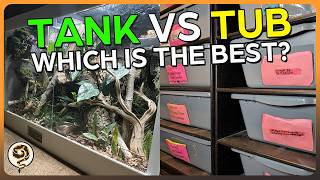 Tank vs Tub: Which is the Best for your Ball Python? - Spoiler: It's probably the Secret 3rd option