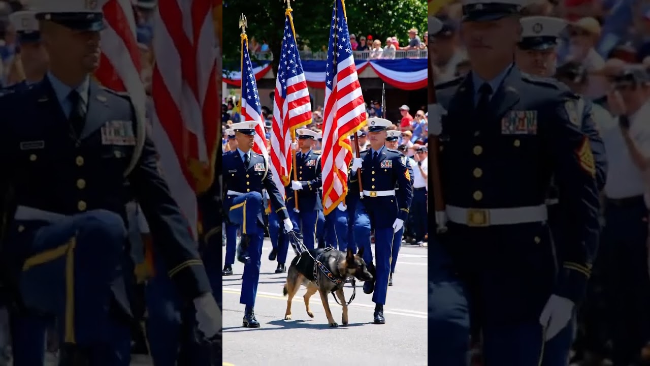 US Army K9 Parade: Elite Discipline! 🇺🇸🐕 