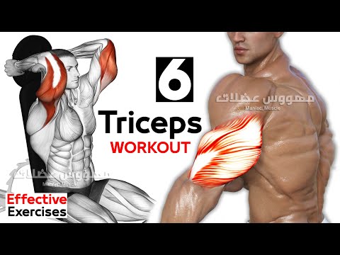 Видео: Triceps-ийг хэрхэн шахах вэ