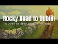 Rocky Road to Dublin (Cover) by Seth Staton Watkins