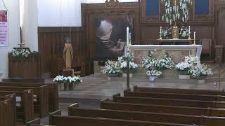 Funeral:  Maria Vasconcelos