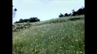 Baharon Ka Yeh Mausam Suhana Kishore Kumar 1987 SaveYouTube com