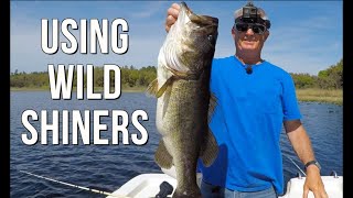 Fishing The Ocala Forest For Big Post Spawn Bass