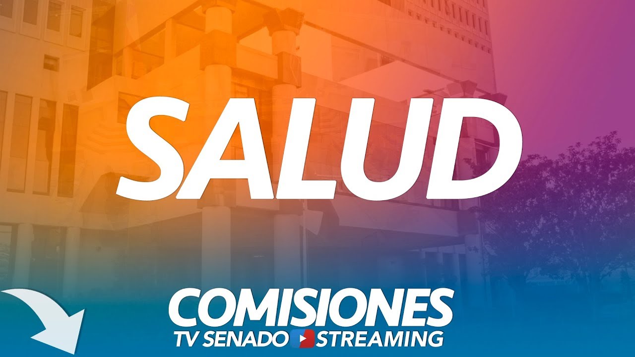 Comisión de Salud - 22 de Enero 2019