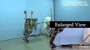 2014 Bipedal Running Robot: Hopping  with One Leg