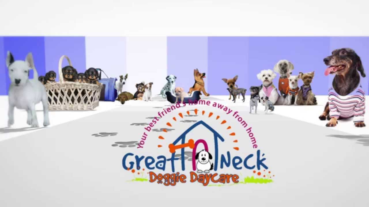 Great Neck Doggie Daycare YouTube