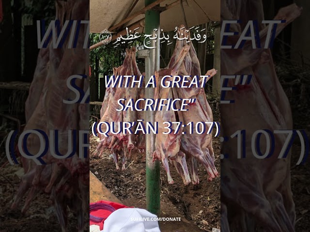 ORDER EID AL-ADHA QURBAN