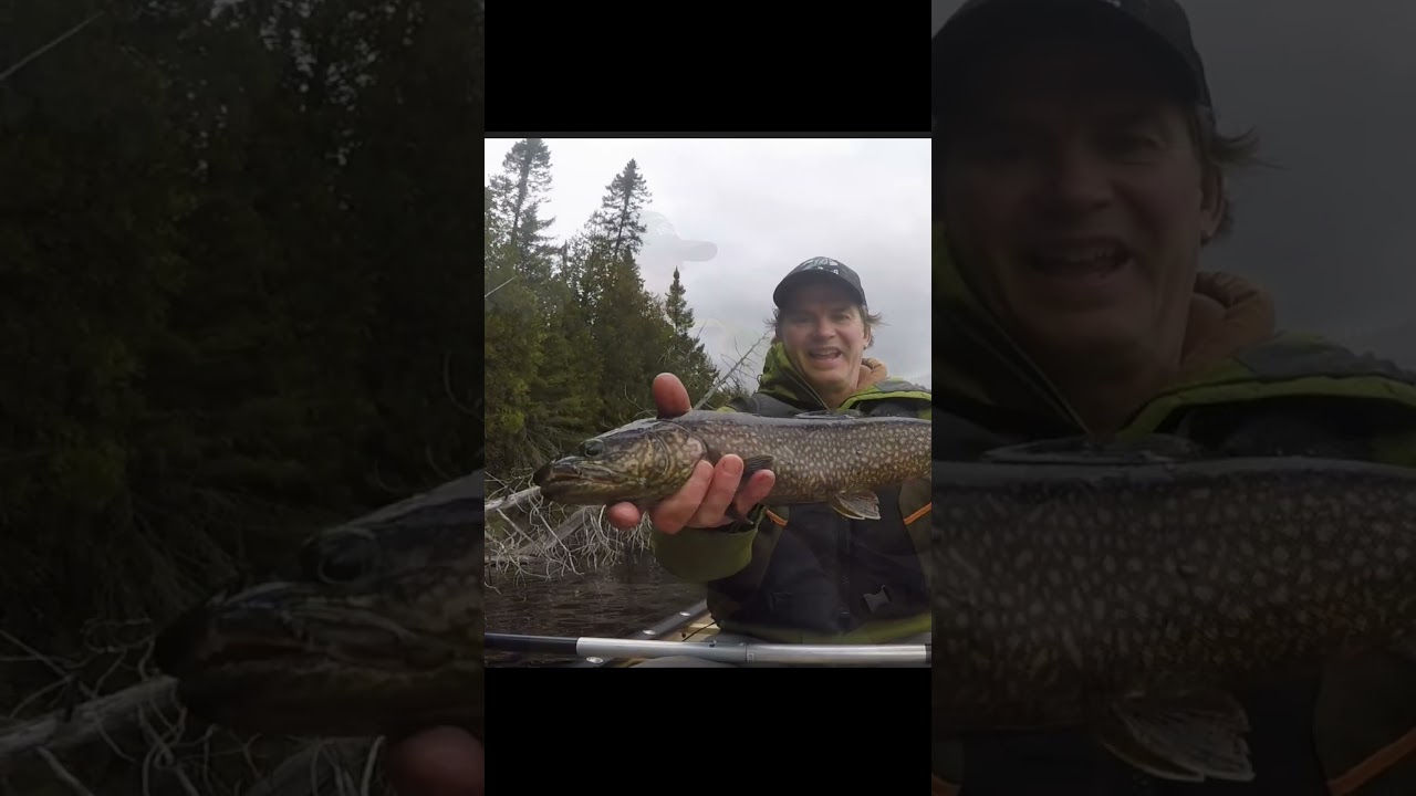 Spring Trout Canoe Trip #backcountryfishing #fishing #canoecamping