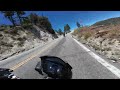 So a 765RS, a Yamaha R6, and an Aprilia Tuono V4 walk in to a bar...