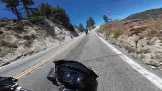 So a 765RS, a Yamaha R6, and an Aprilia Tuono V4 walk in to a bar...