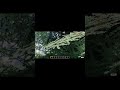Realistic Minecraft Gameplay - RTX 5060 #minecraft #minecraftbuilding #cinematic #gaming #viral