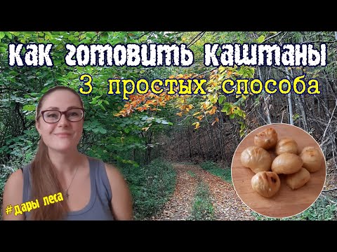 Как готовить каштаны. 3 способа: вкусно и быстро
