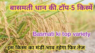 बासमती धान की टॉप 5 किस्में | Basmati paddy top 5 varietys in india